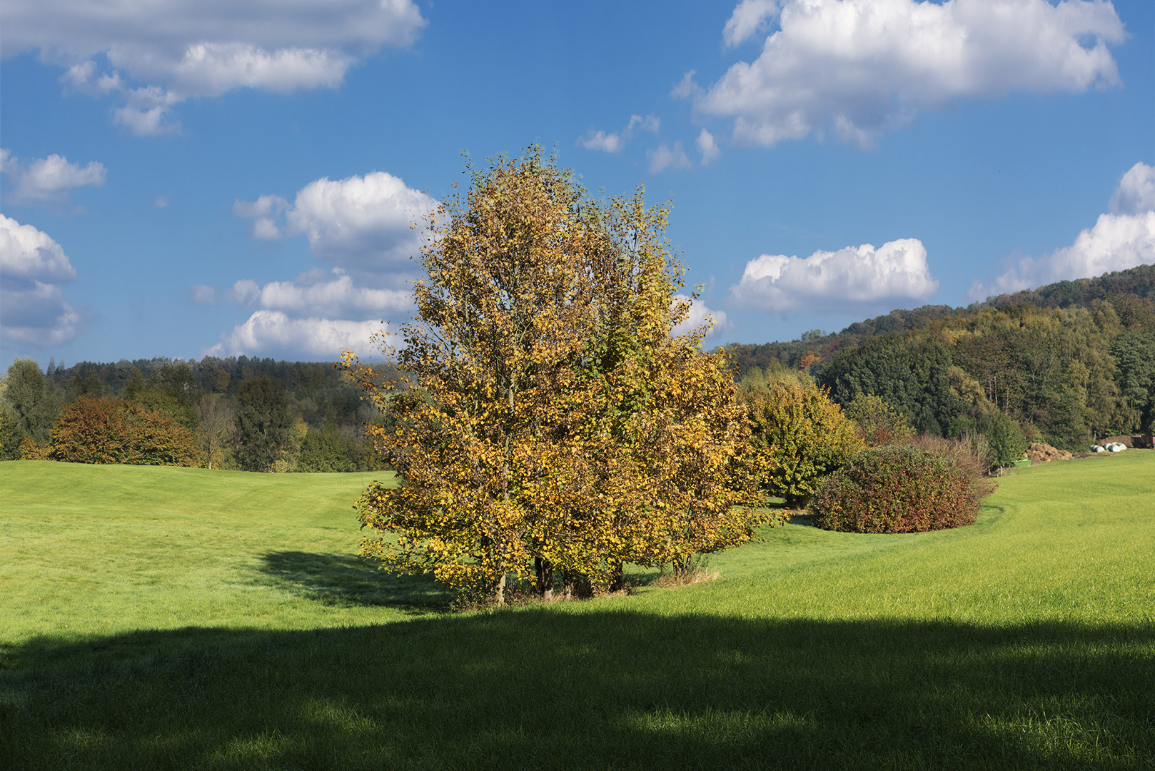 Herbstfarben