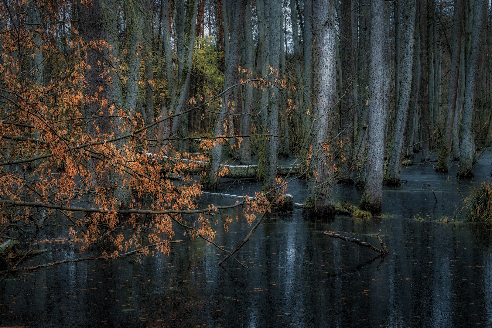 Herbstfarben