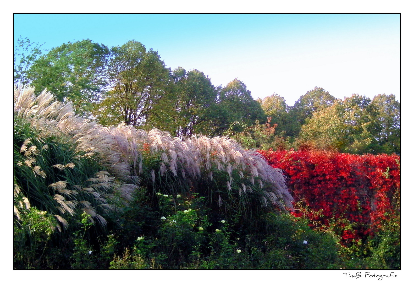 Herbstfarben