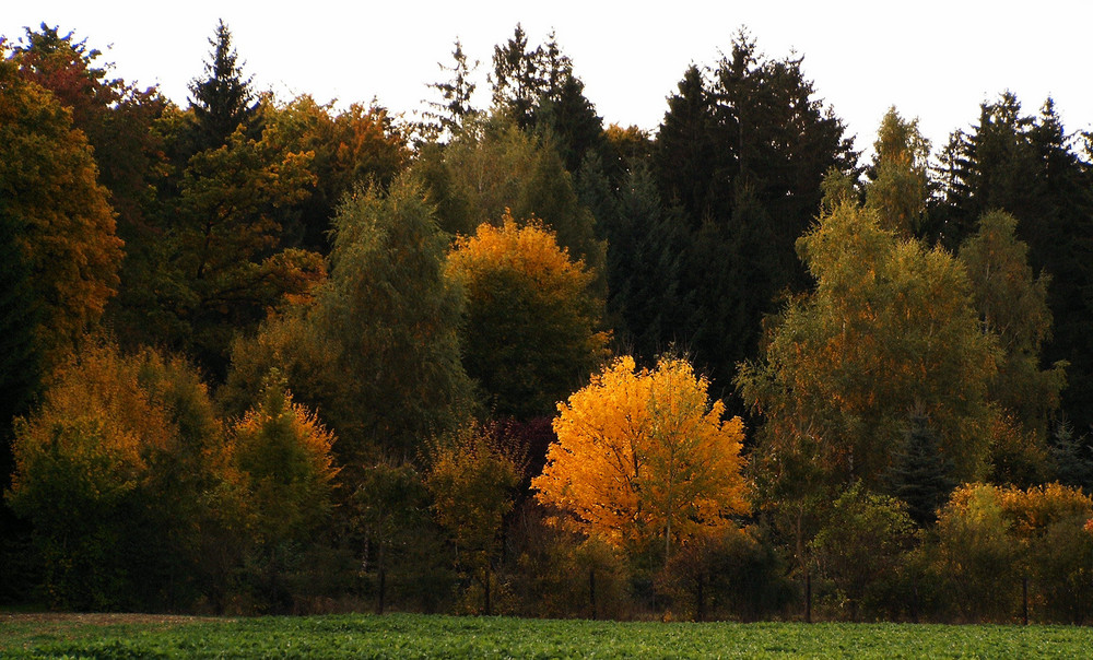 Herbstfarben