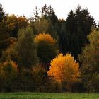 Herbstfarben