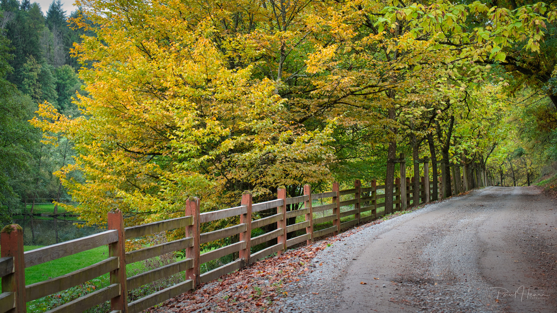 Herbstfarben 