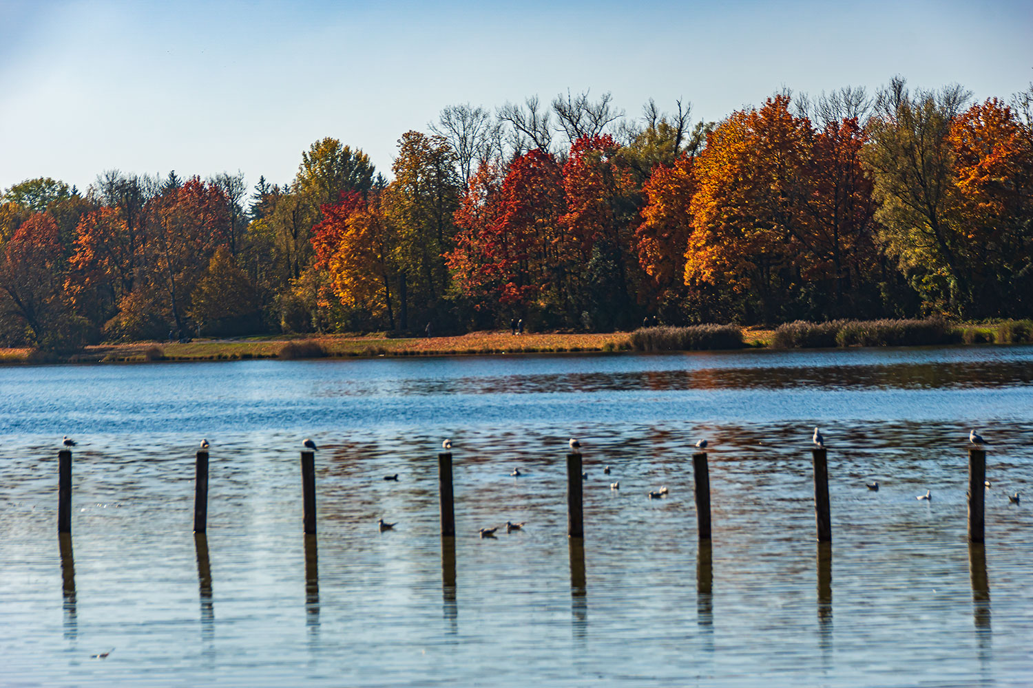 Herbstfarben