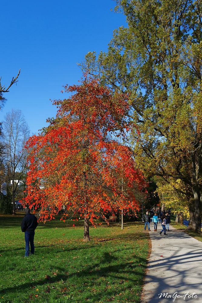 Herbstfarben