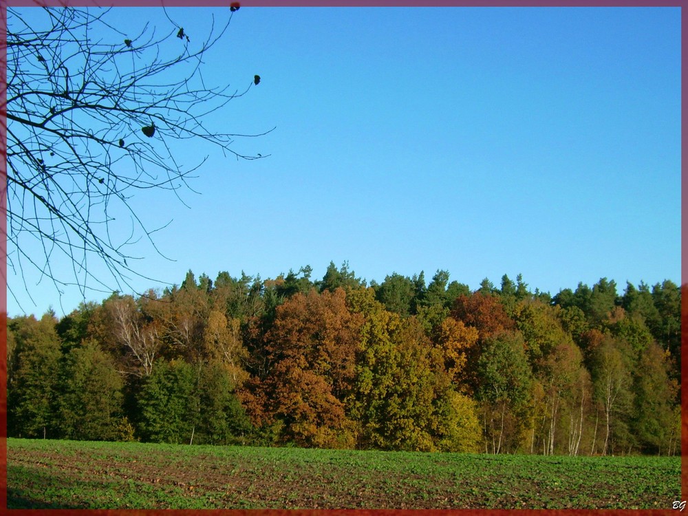 Herbstfarben