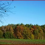 Herbstfarben