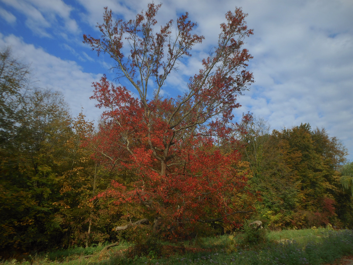 Herbstfarben