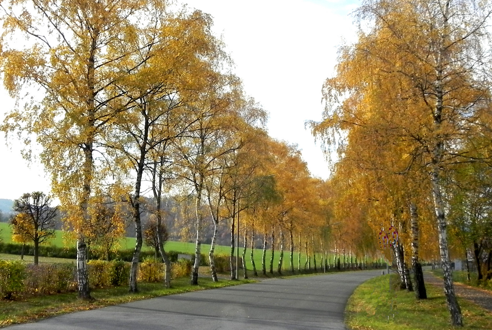 Herbstfarben