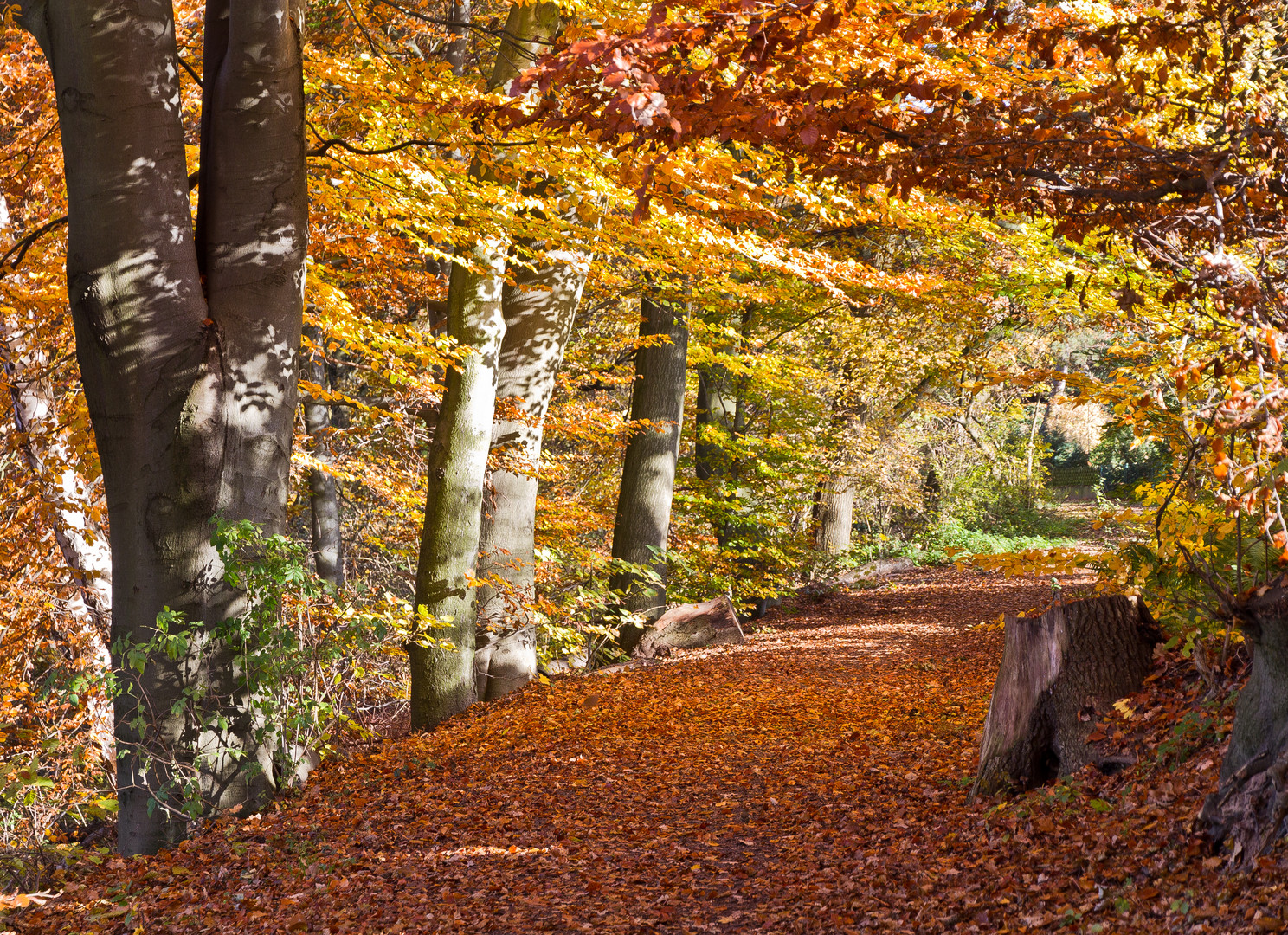 Herbstfarben