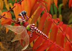 Herbstfarben