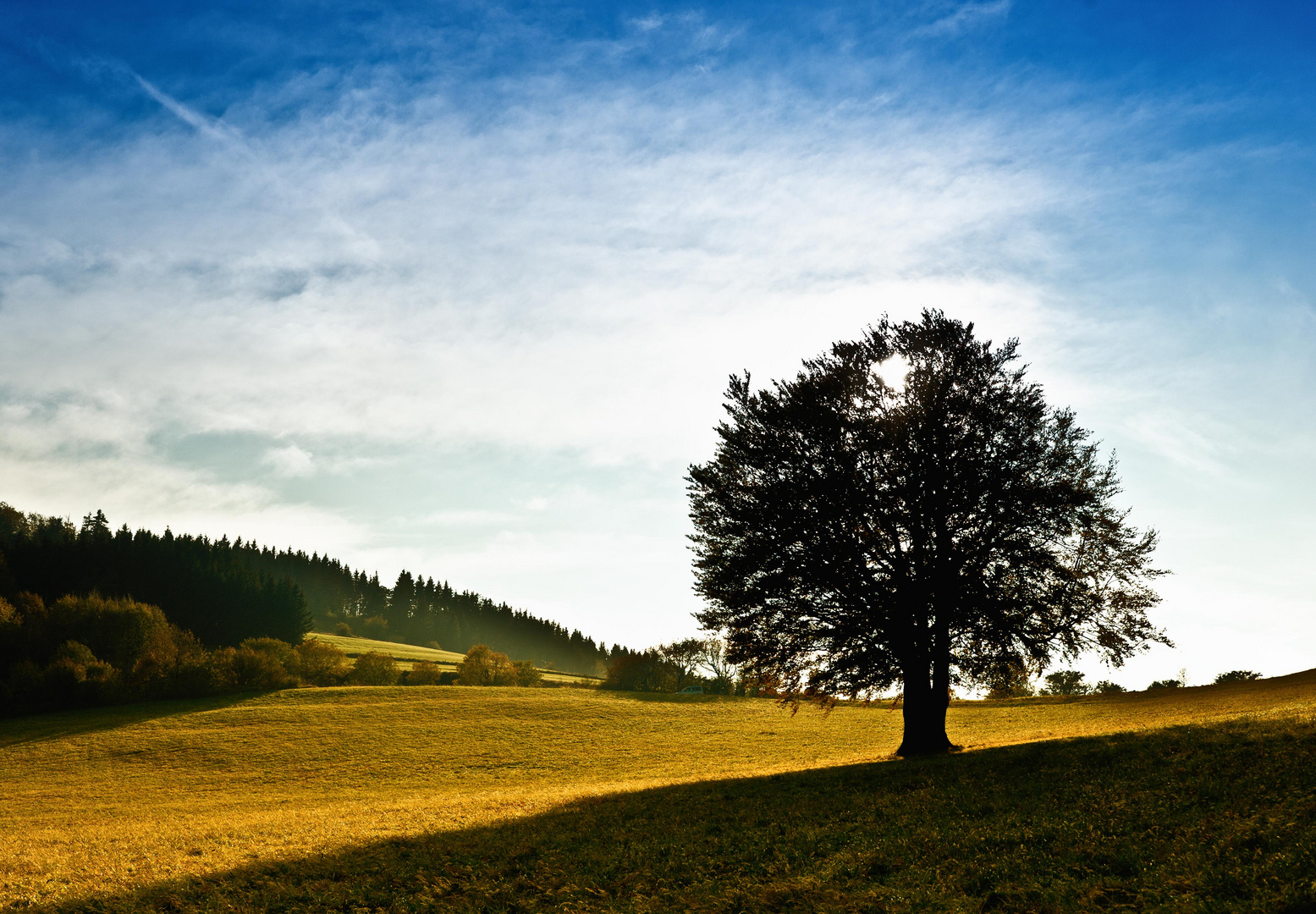 Herbstfarben