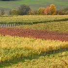 Herbstfarben