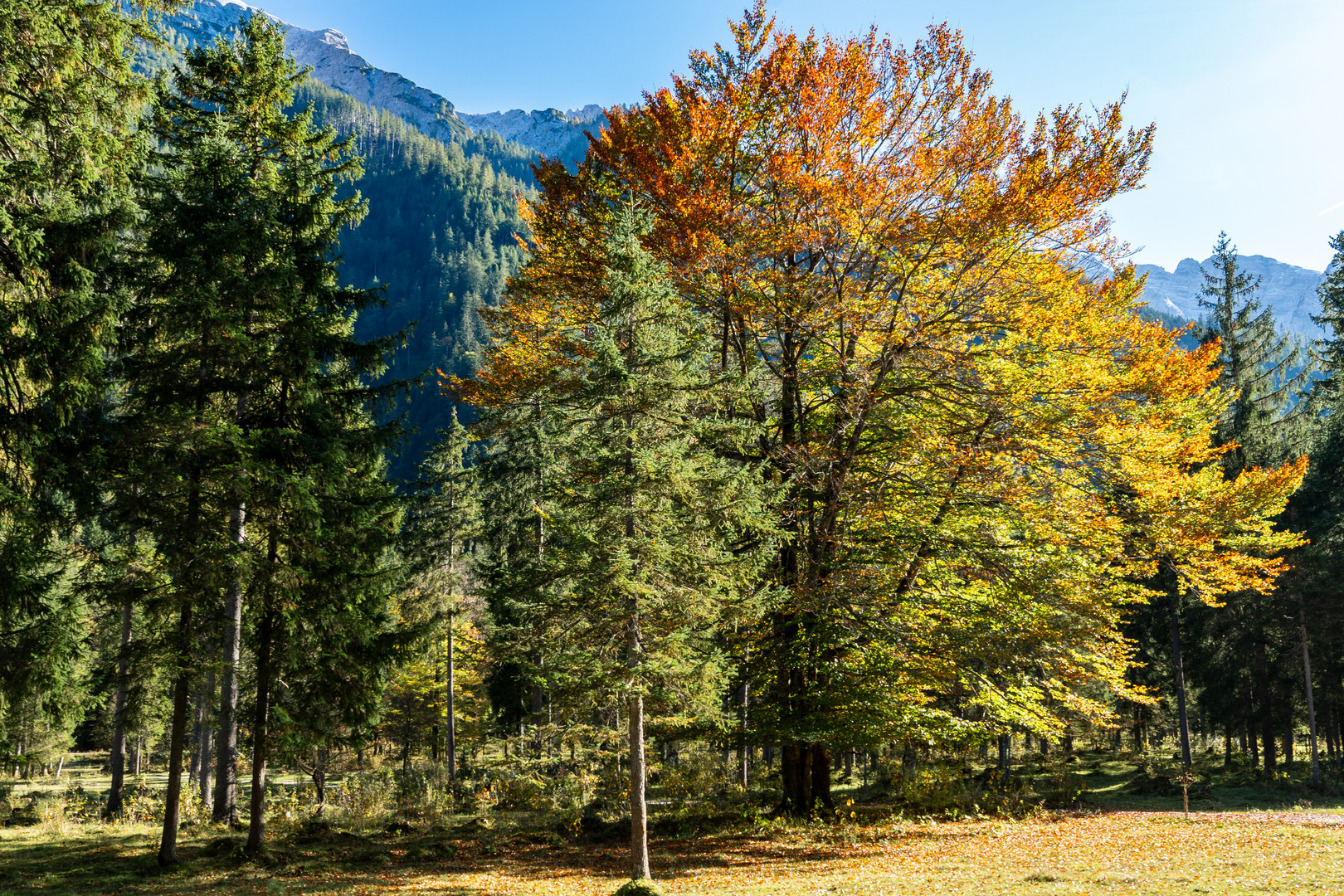 Herbstfarben