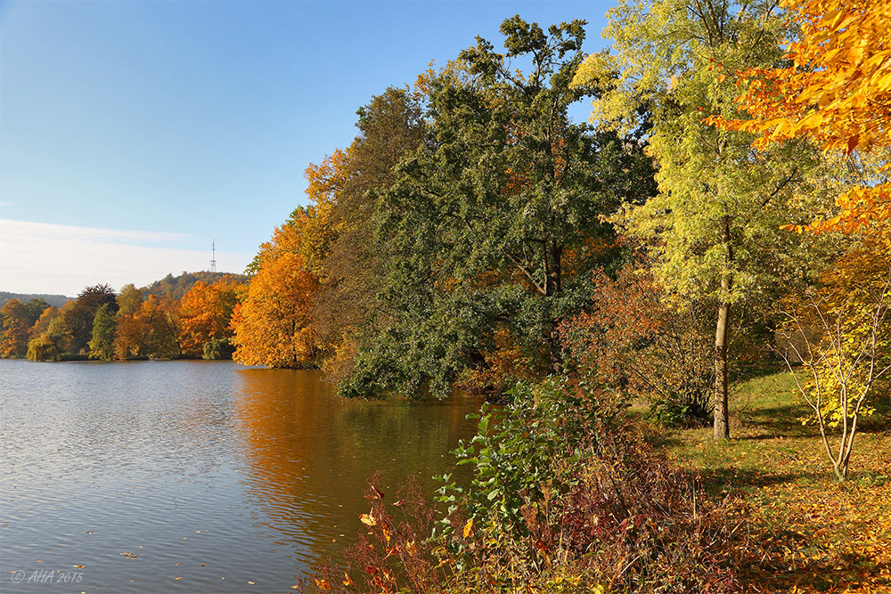 Herbstfarben - 3