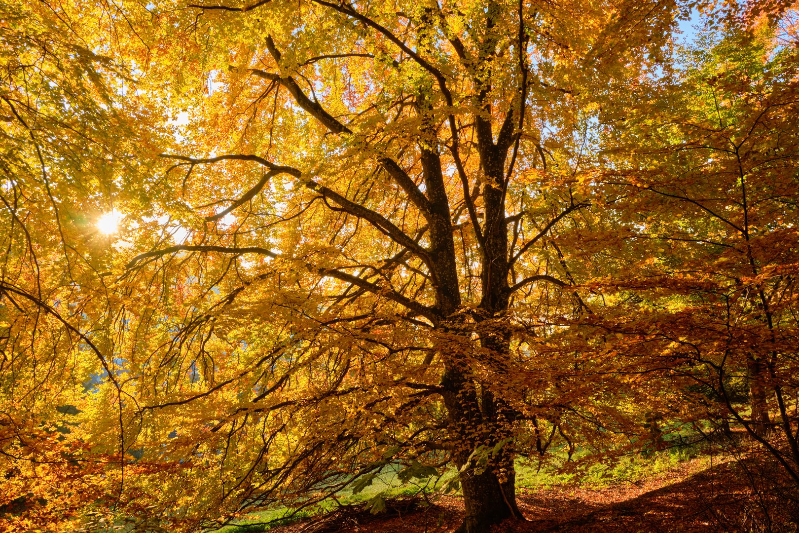 Herbstfarben