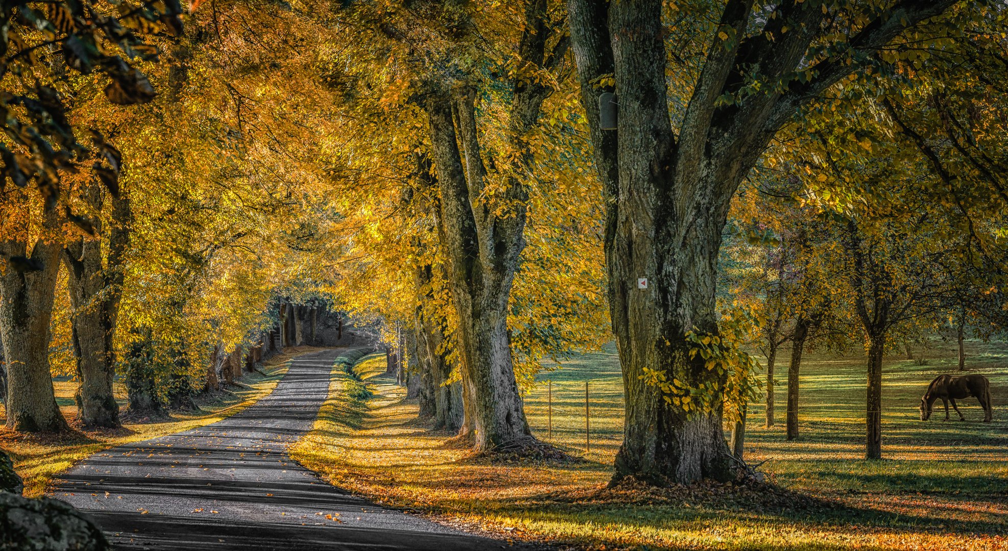 Herbstfarben