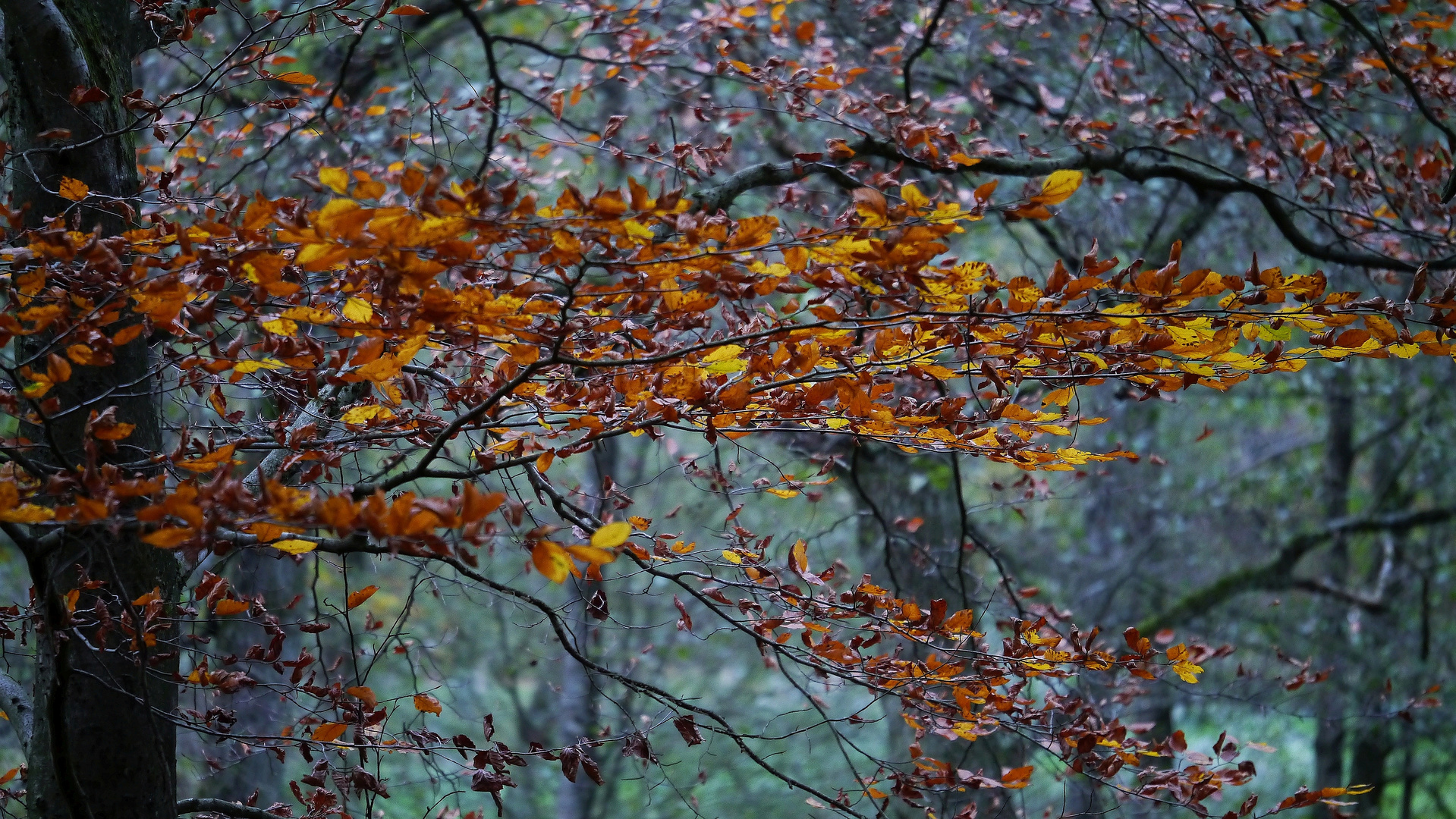 Herbstfarben