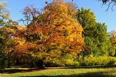 Herbstfarben