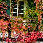 Herbstfarben