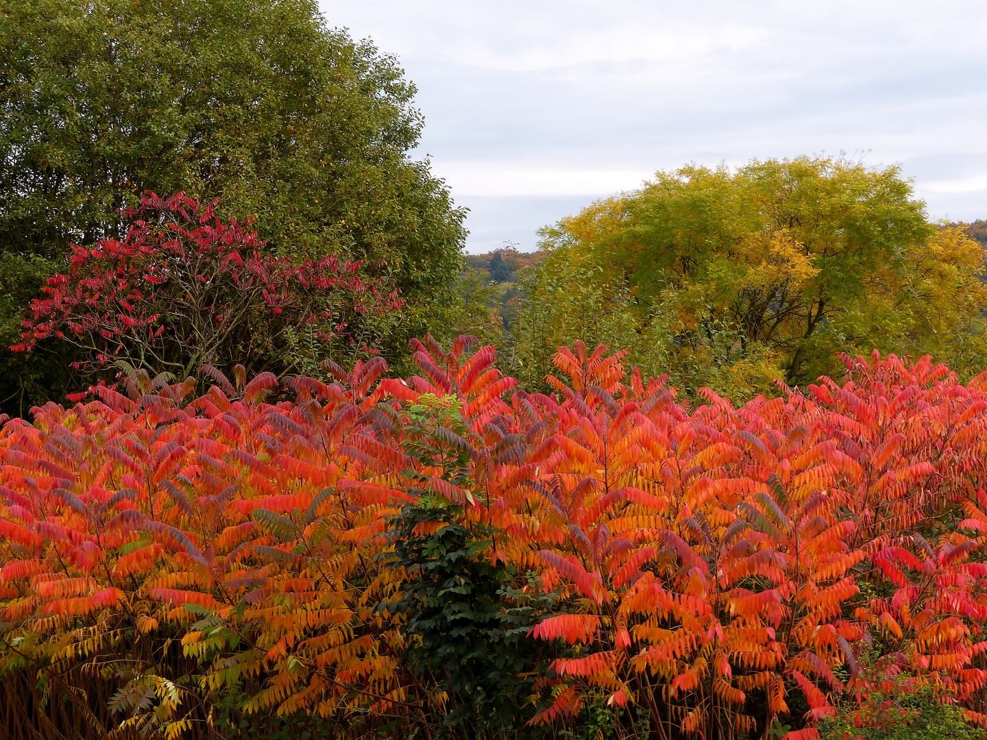 Herbstfarben