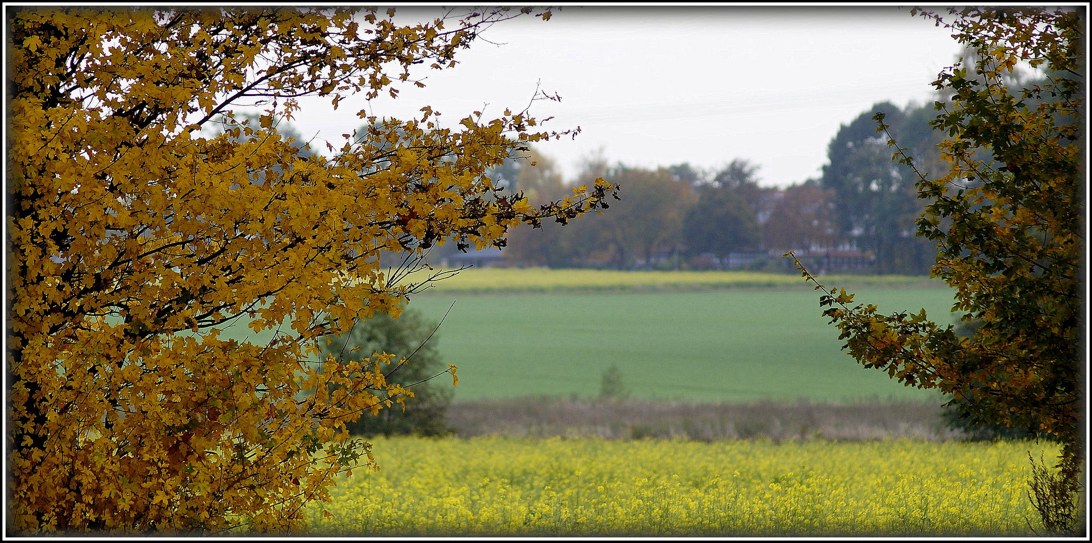 Herbstfarben