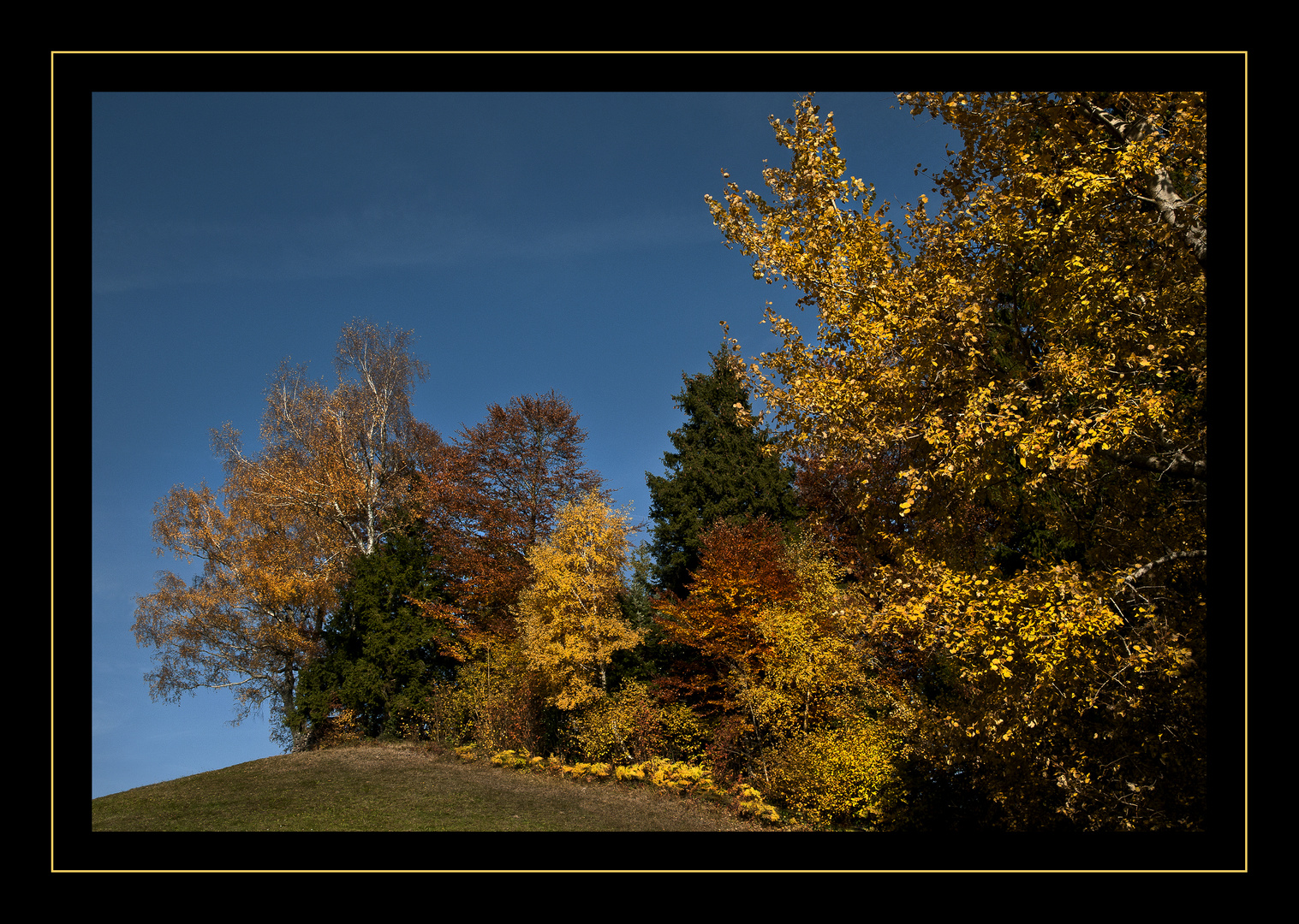 Herbstfarben!