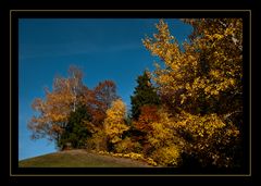 Herbstfarben!