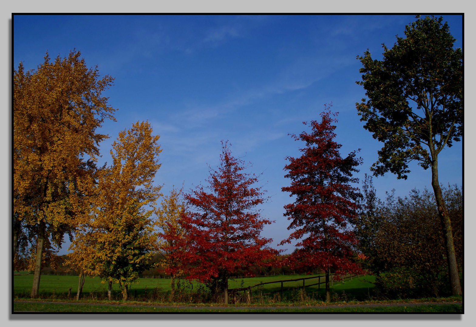 Herbstfarben