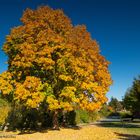 --- Herbstfarben ---