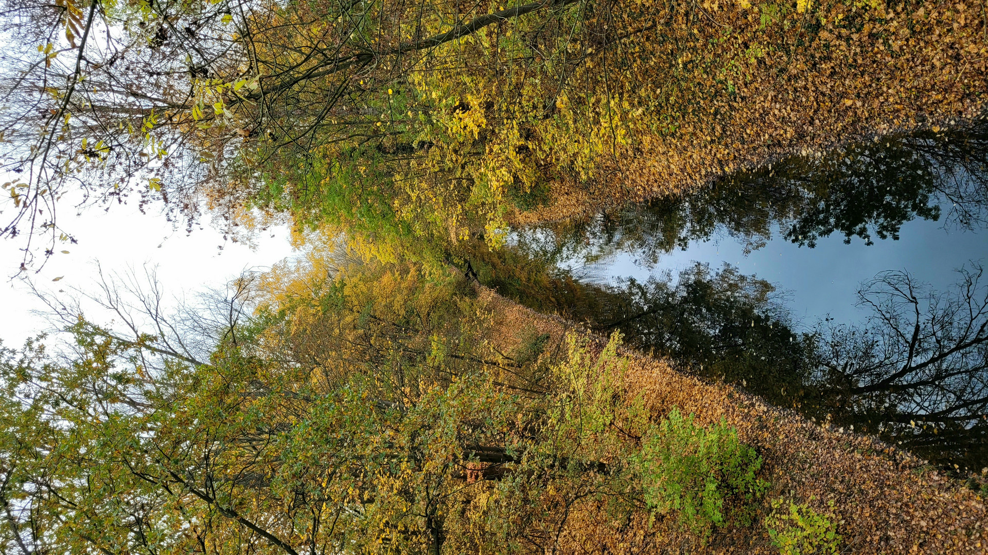 Herbstfarben 