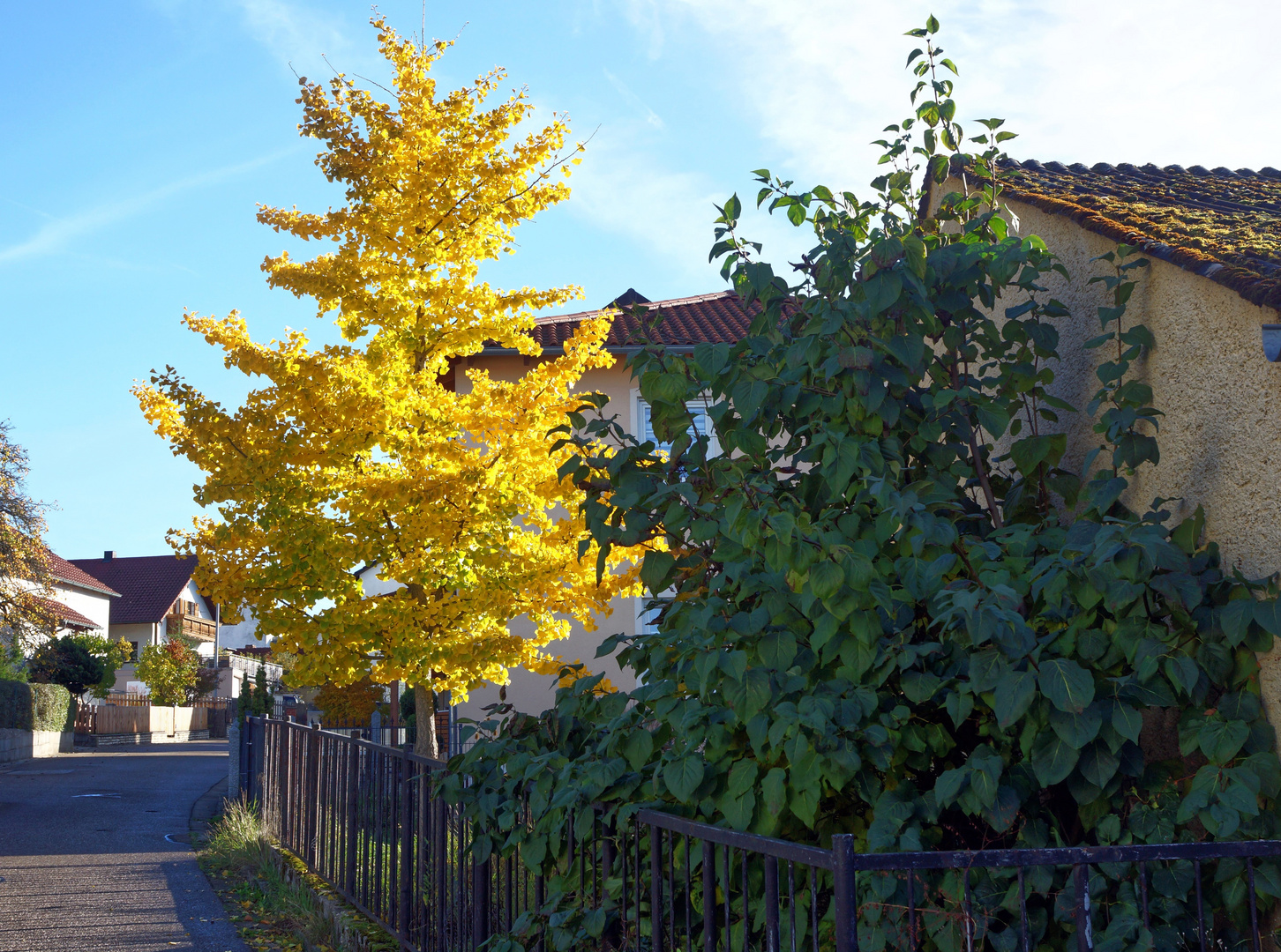 Herbstfarben