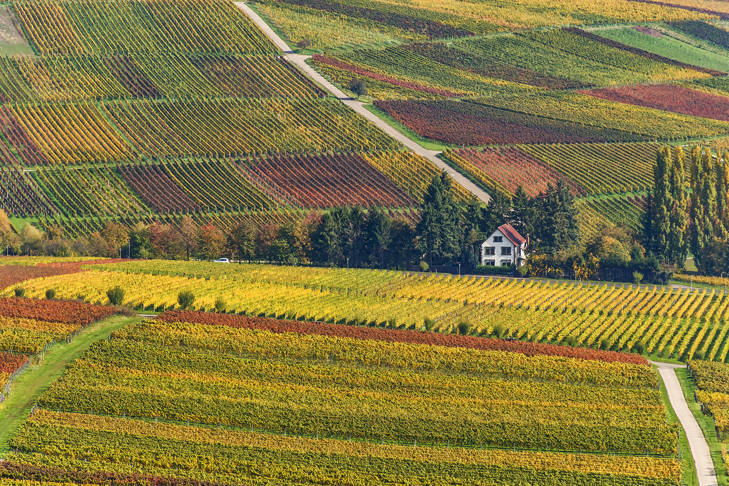 Herbstfarben