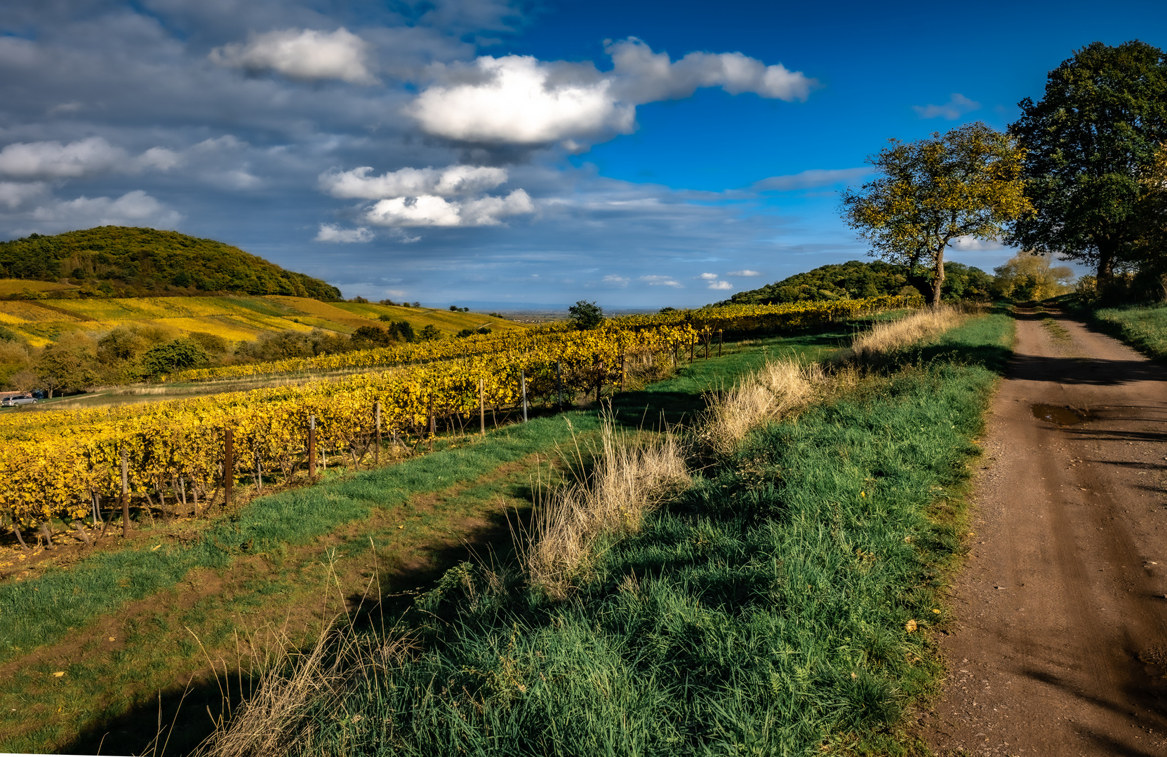 Herbstfarben 