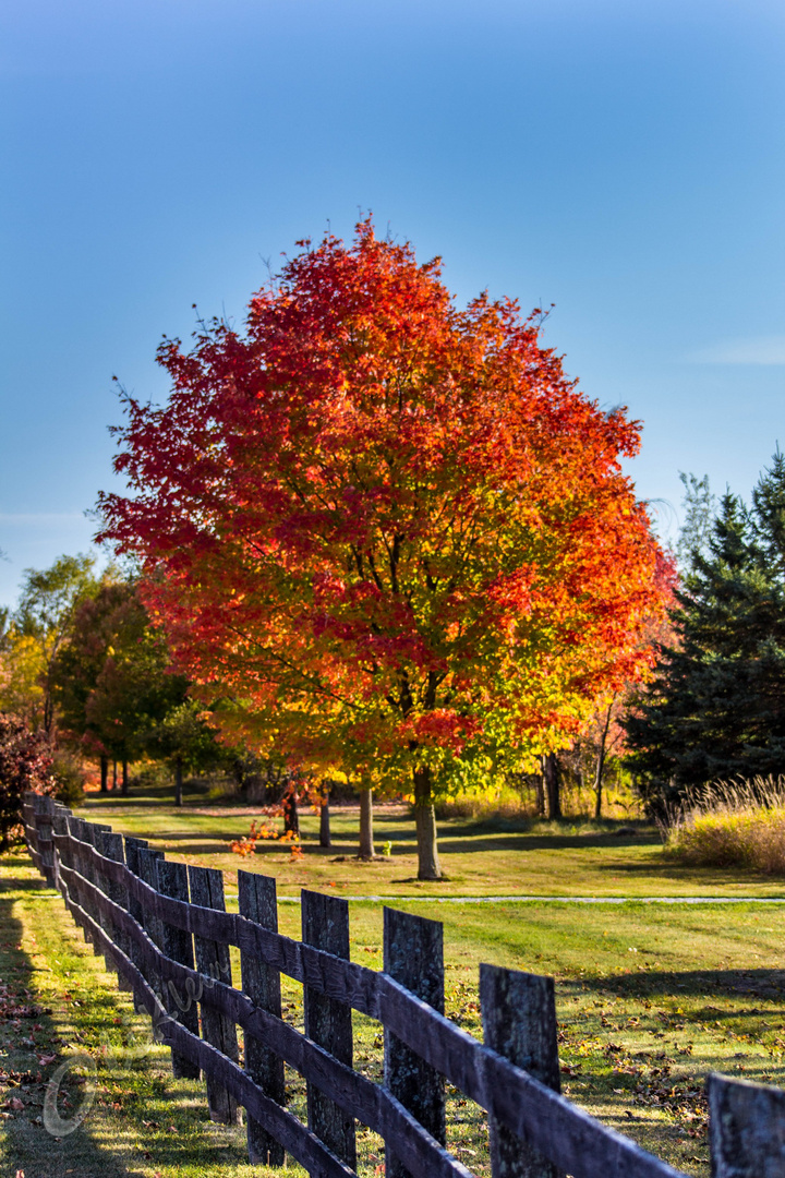 Herbstfarben