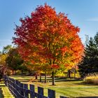 Herbstfarben