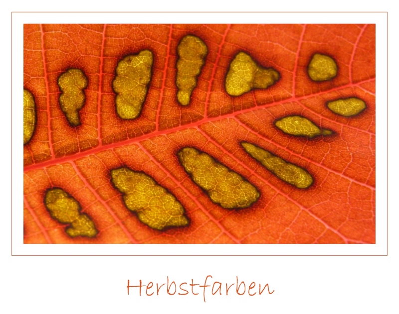 Herbstfarben