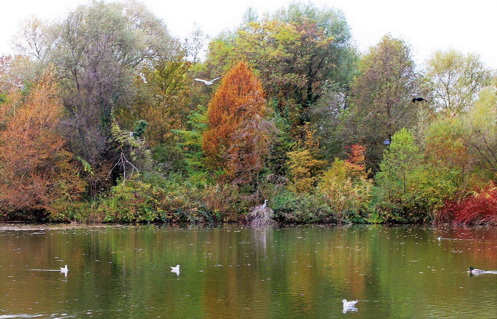 Herbstfarben