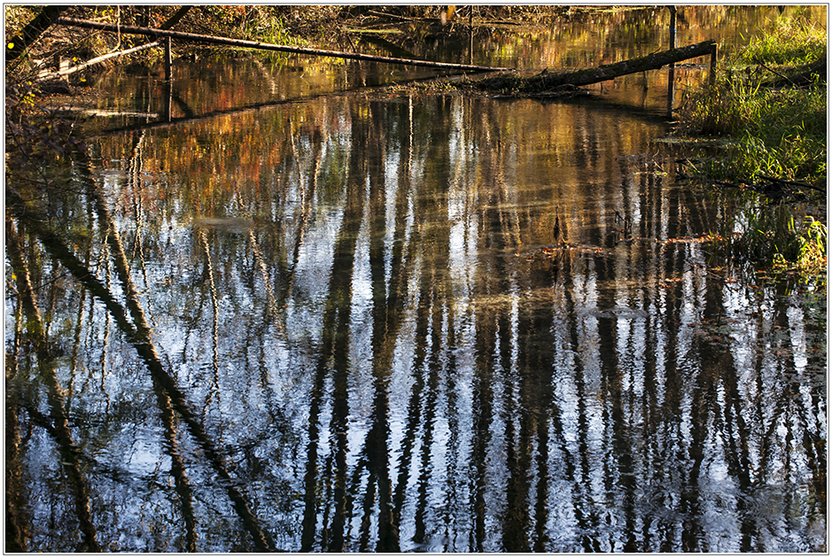 Herbstfarben