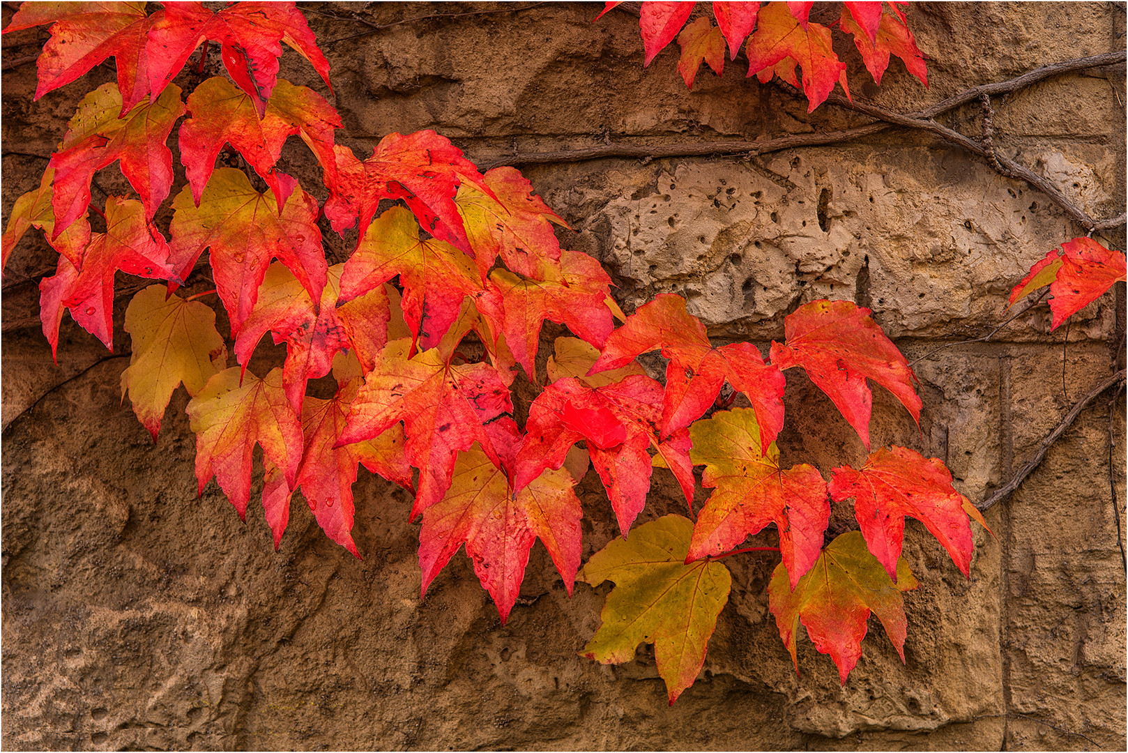 Herbstfarben