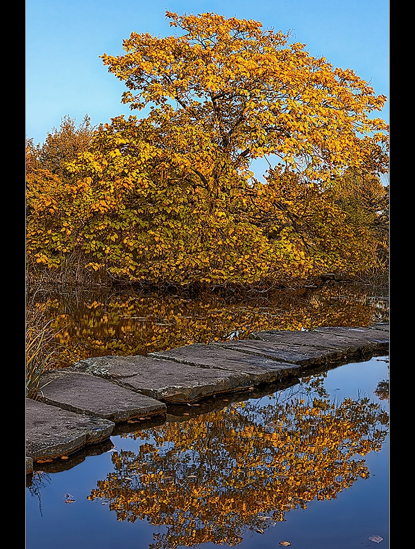 Herbstfarben