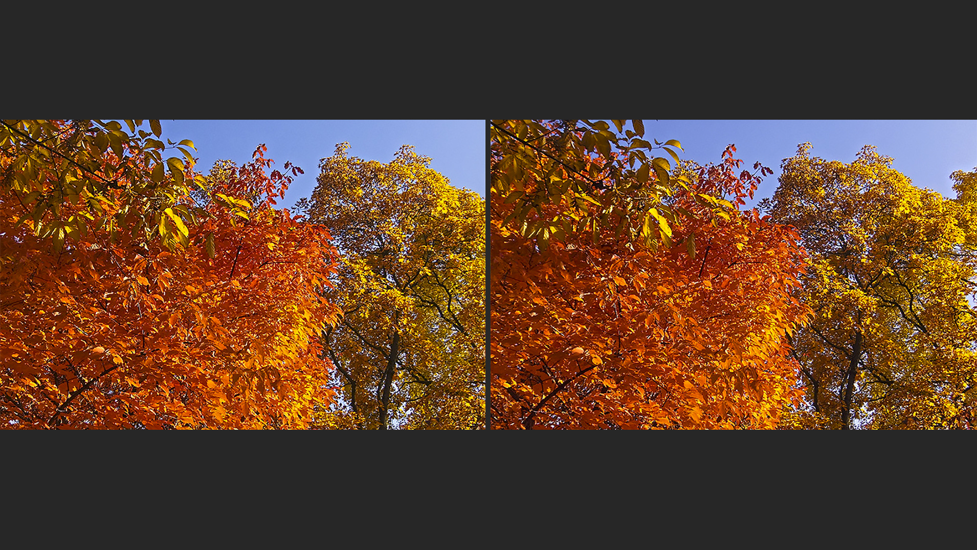 Herbstfarben (3D)