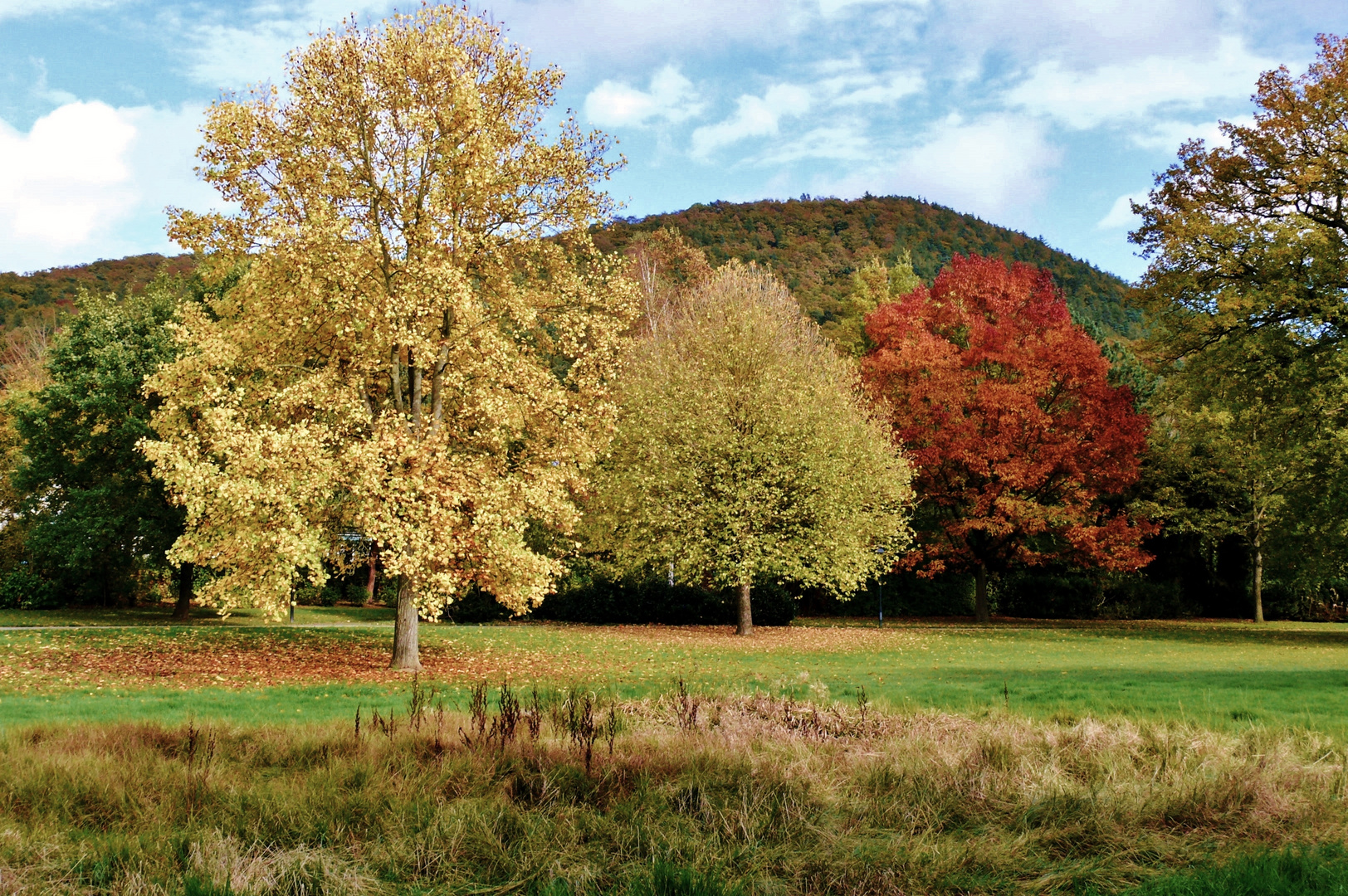 Herbstfarben