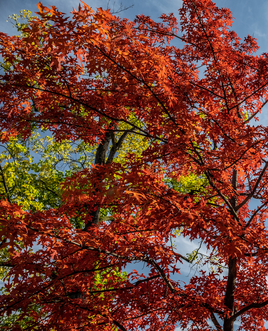 Herbstfarben