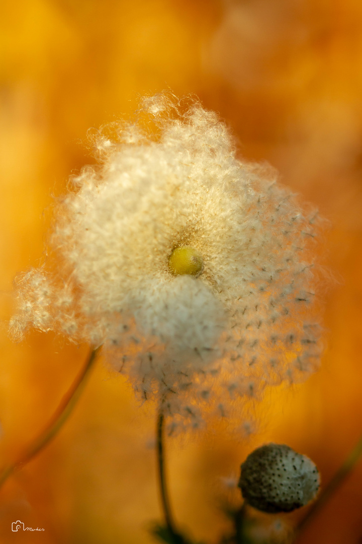 Herbstfarben