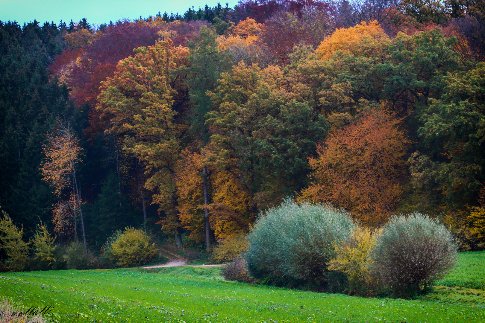 Herbstfarben