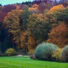 Herbstfarben