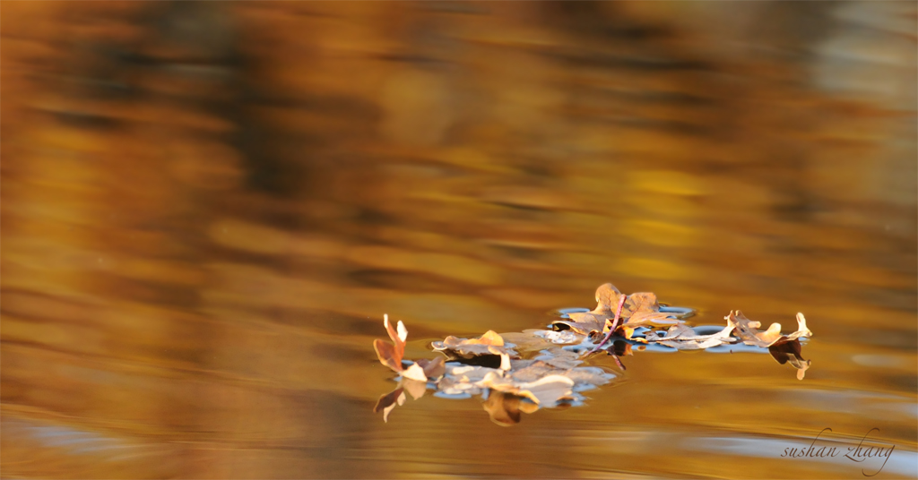 Herbstfarben