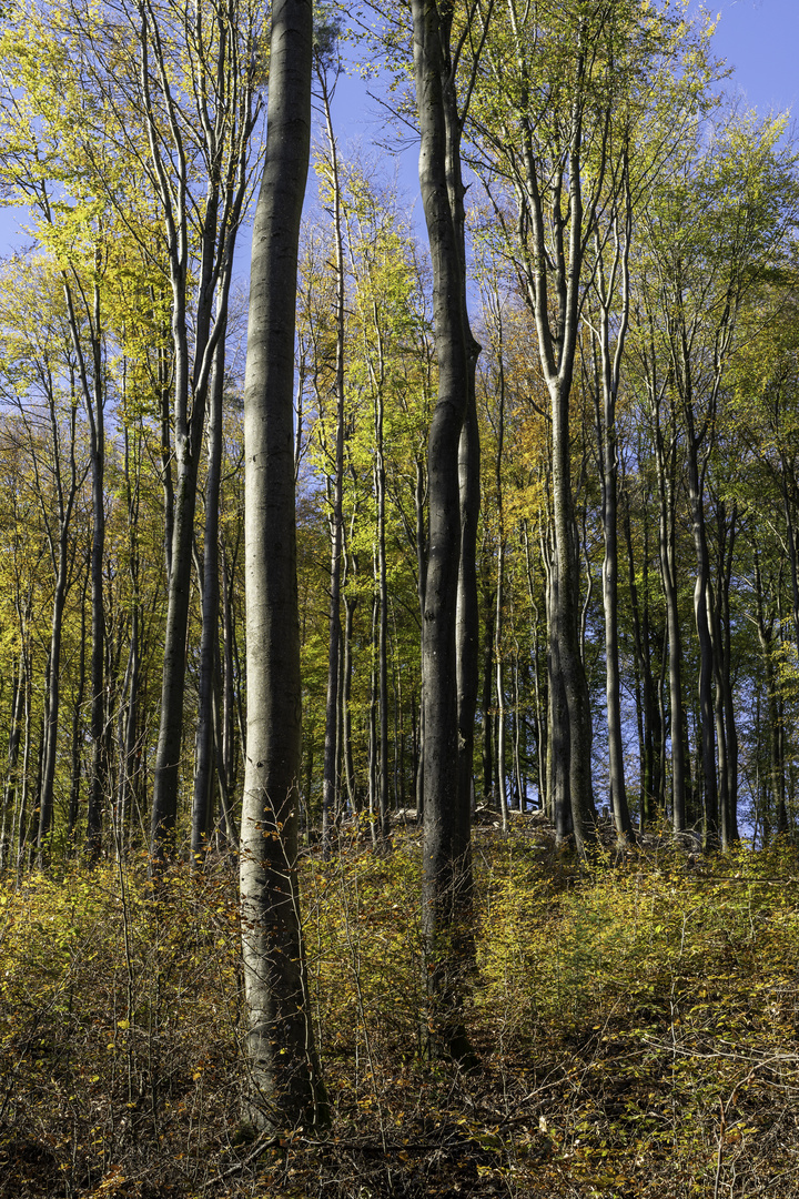 Herbstfarben