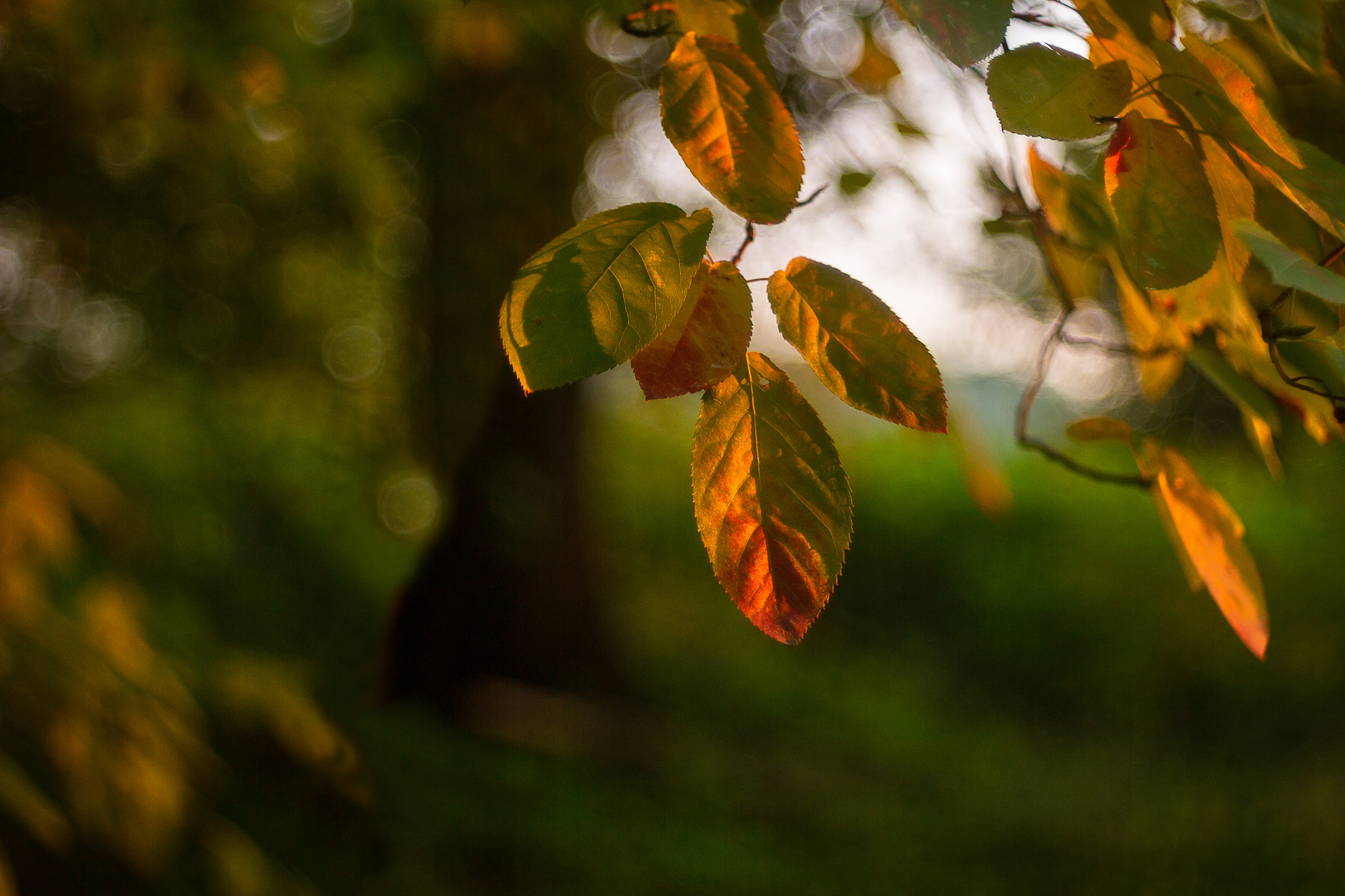 Herbstfarben