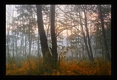 Herbstfarben.